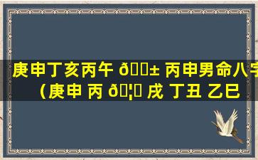 庚申丁亥丙午 🐱 丙申男命八字（庚申 丙 🦆 戌 丁丑 乙巳）